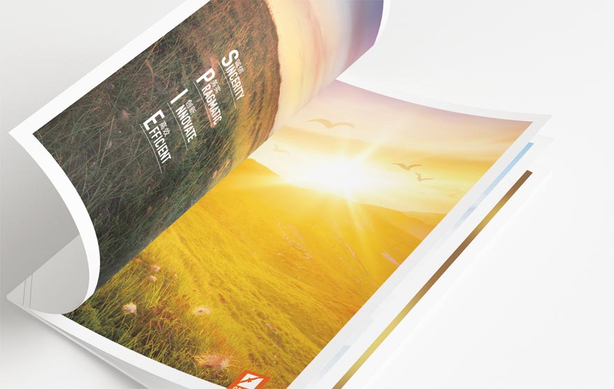 喜燕畫冊(cè)詳情_23.jpg